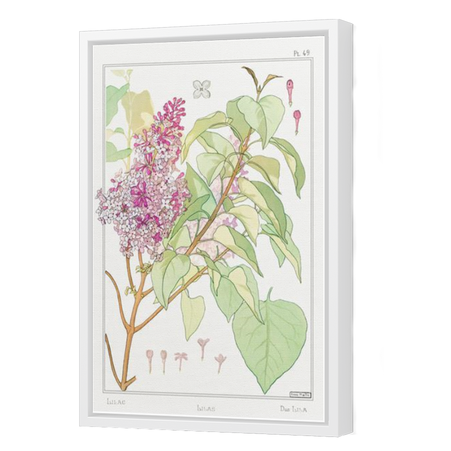 Thumbnail for Canvas - White Floating Frame