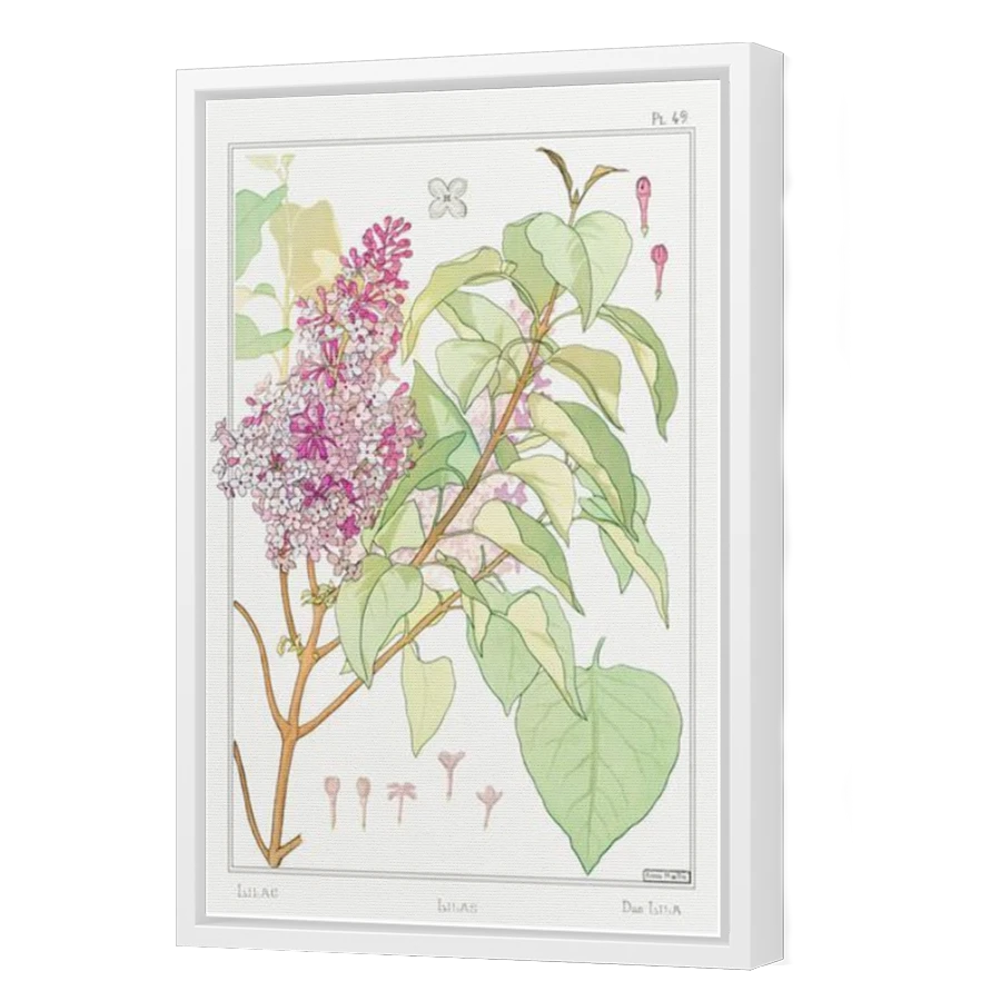 Thumbnail for Canvas - White Floating Frame