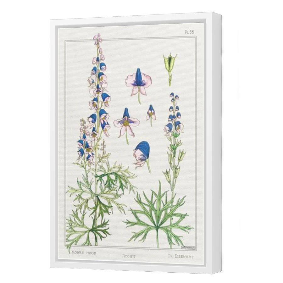 Thumbnail for Canvas - White Floating Frame