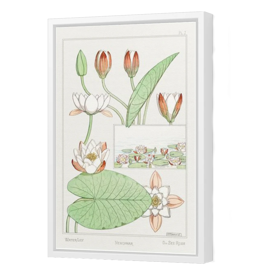 Thumbnail for Canvas - White Floating Frame