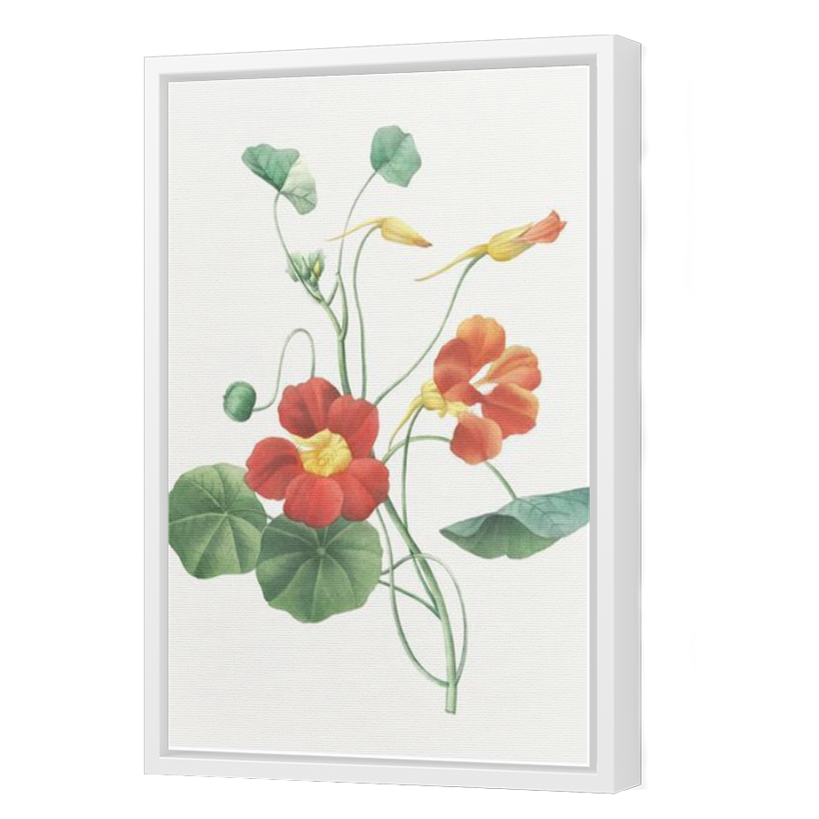 Thumbnail for Canvas - White Floating Frame