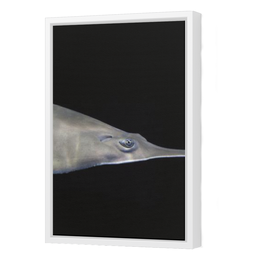 Thumbnail for Canvas - White Floating Frame