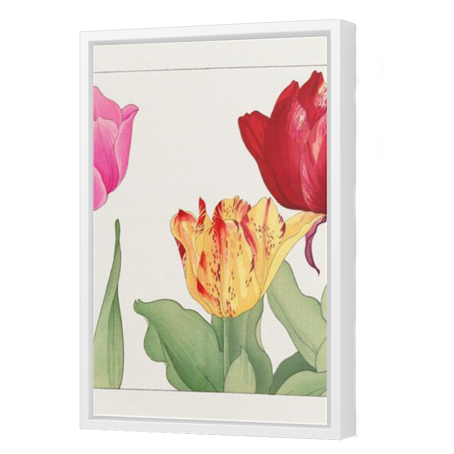 Thumbnail for Canvas - White Floating Frame