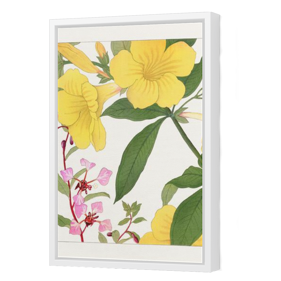 Thumbnail for Canvas - White Floating Frame