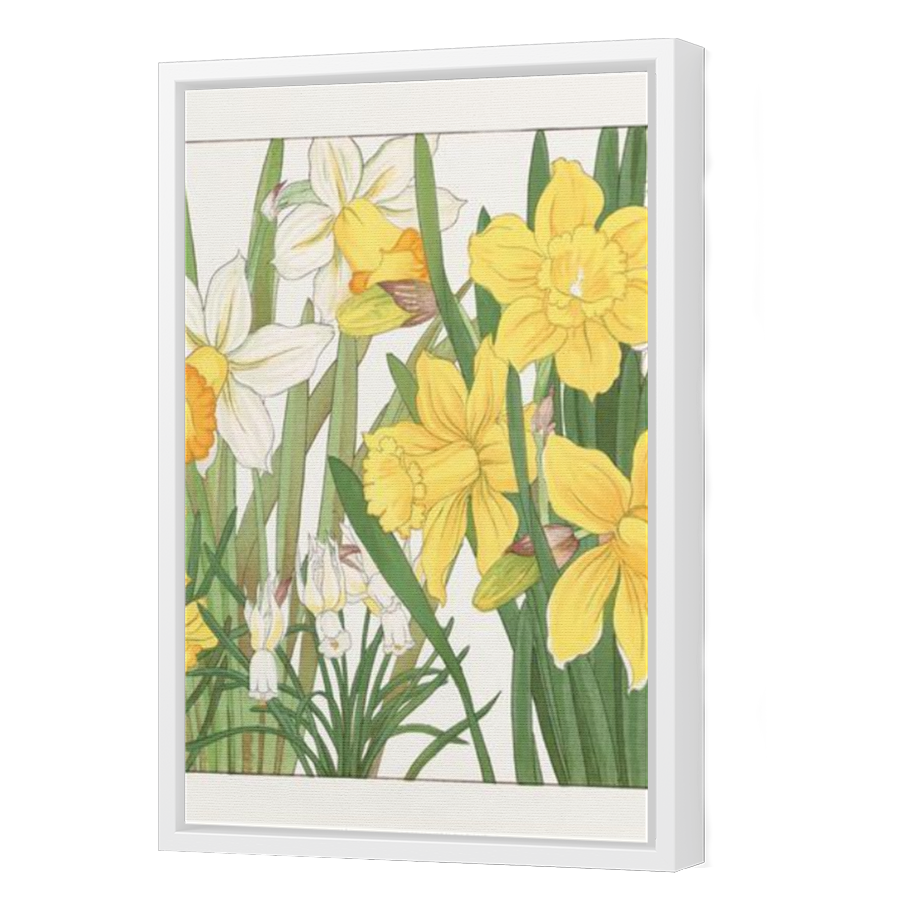 Thumbnail for Canvas - White Floating Frame