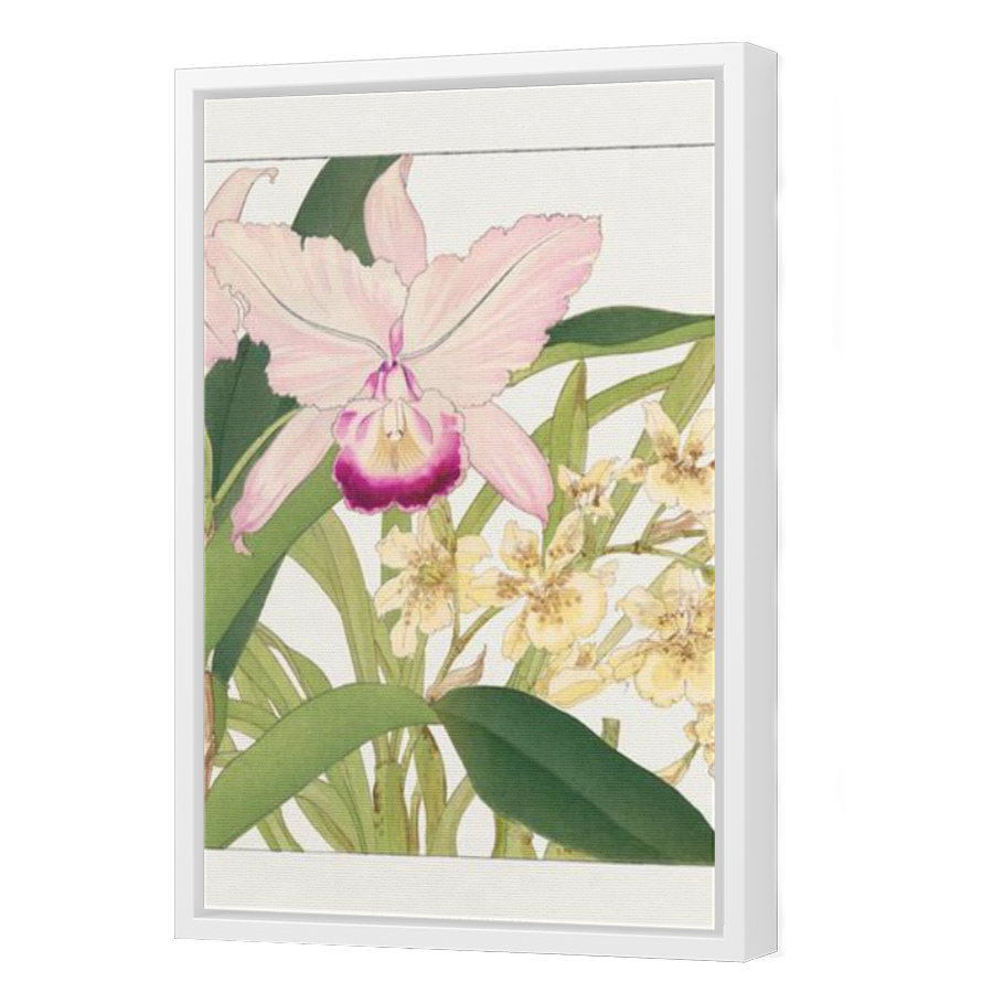 Thumbnail for Canvas - White Floating Frame