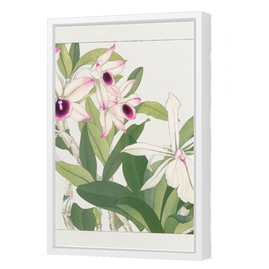 Thumbnail for Canvas - White Floating Frame