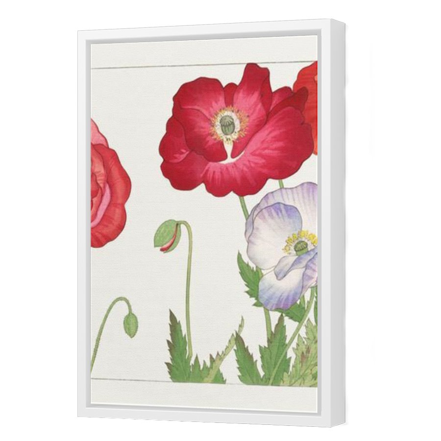 Thumbnail for Canvas - White Floating Frame