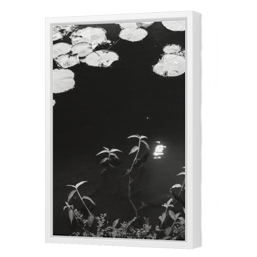 Thumbnail for Canvas - White Floating Frame