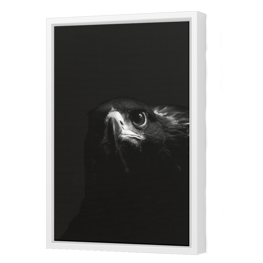 Thumbnail for Canvas - White Floating Frame
