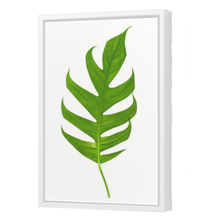 Thumbnail for Canvas - White Floating Frame