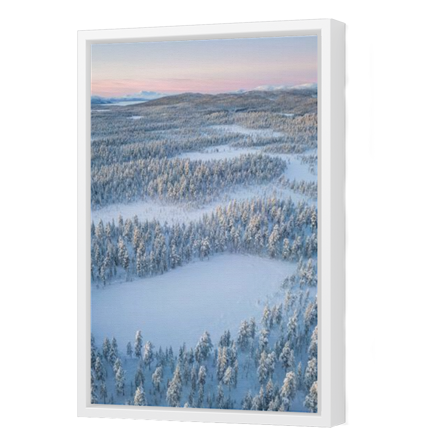 Thumbnail for Canvas - White Floating Frame