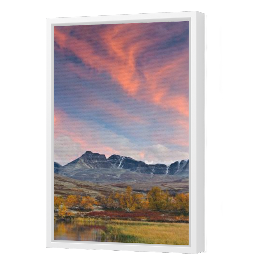 Thumbnail for Canvas - White Floating Frame