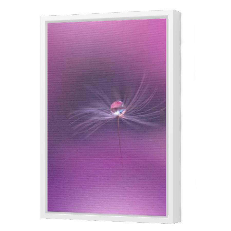 Thumbnail for Canvas - White Floating Frame