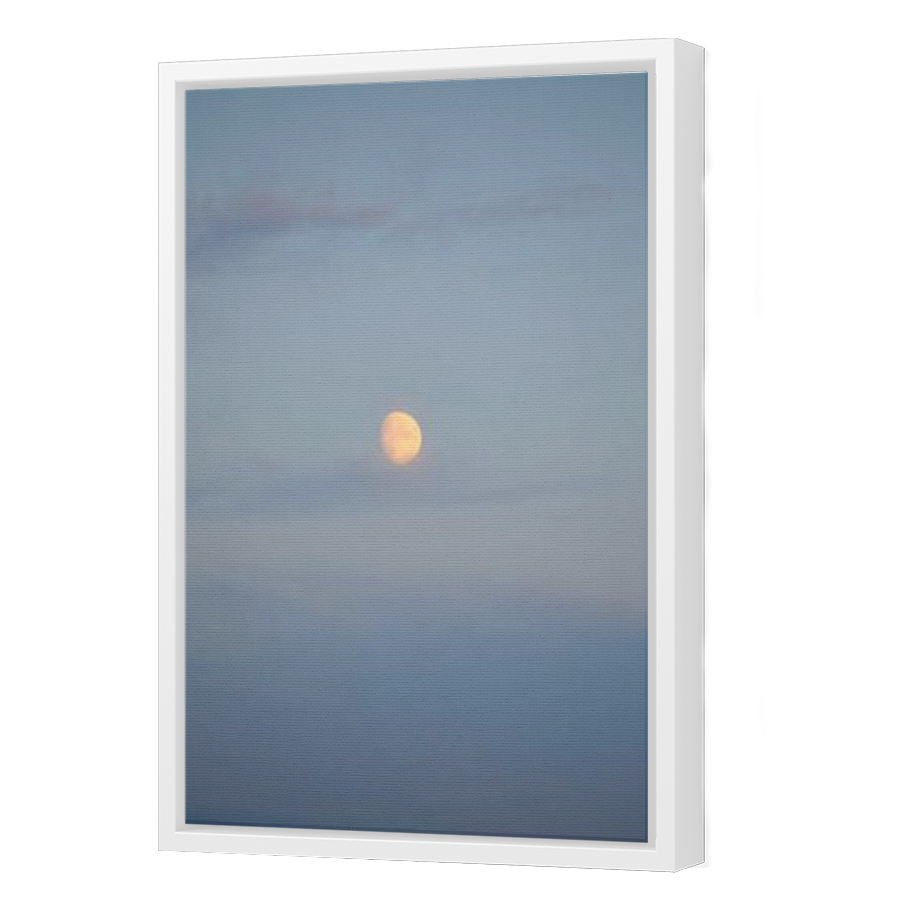 Thumbnail for Canvas - White Floating Frame