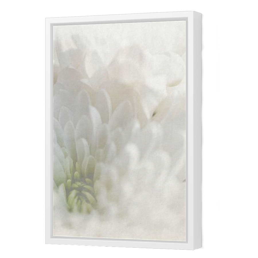 Thumbnail for Canvas - White Floating Frame