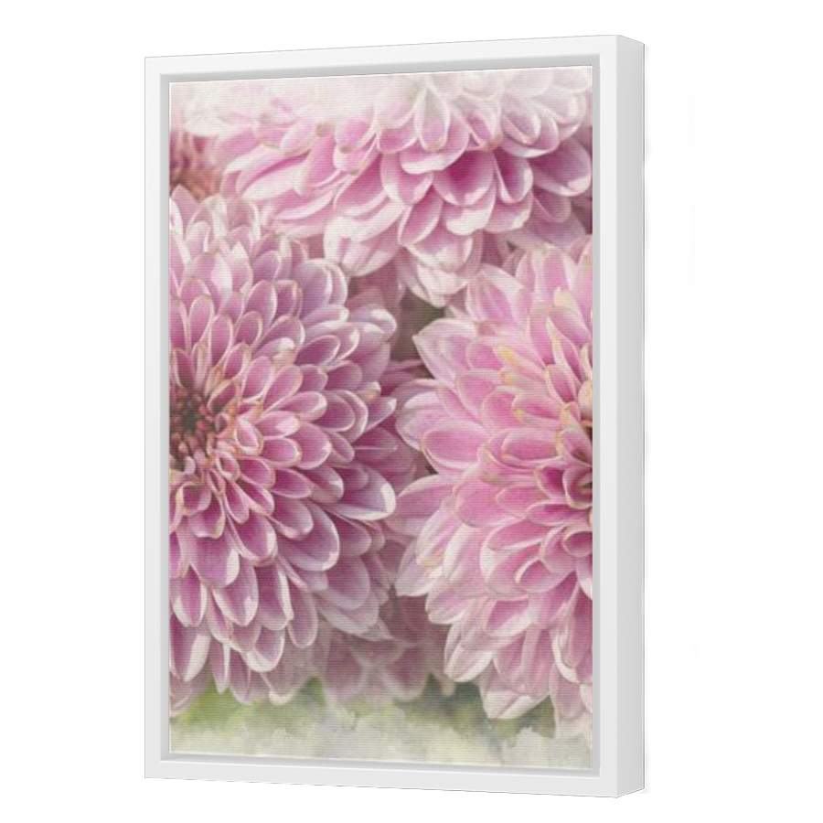 Thumbnail for Canvas - White Floating Frame