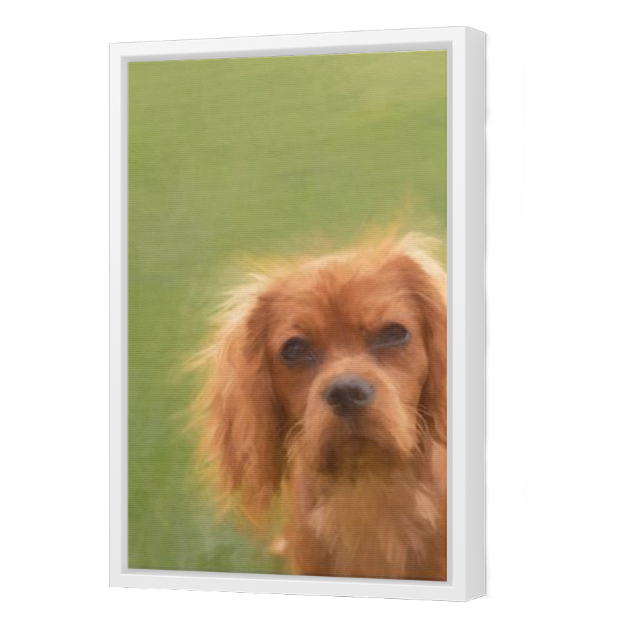 Thumbnail for Canvas - White Floating Frame