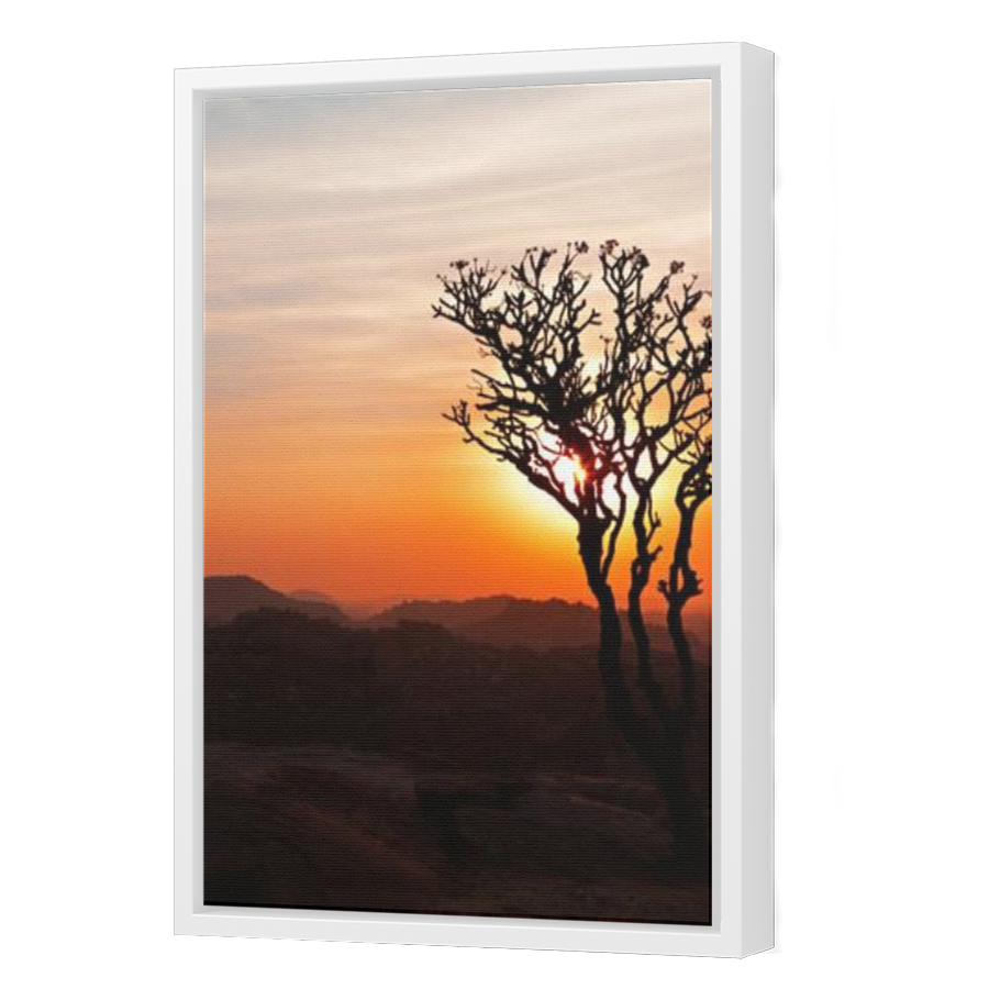 Thumbnail for Canvas - White Floating Frame