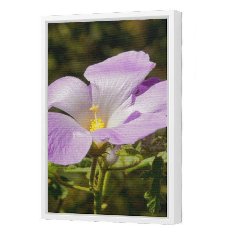 Thumbnail for Canvas - White Floating Frame