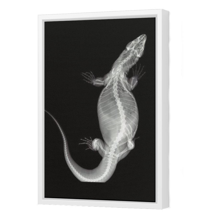 Thumbnail for Canvas - White Floating Frame