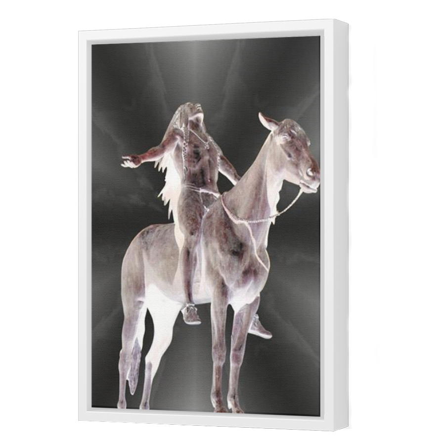 Thumbnail for Canvas - White Floating Frame