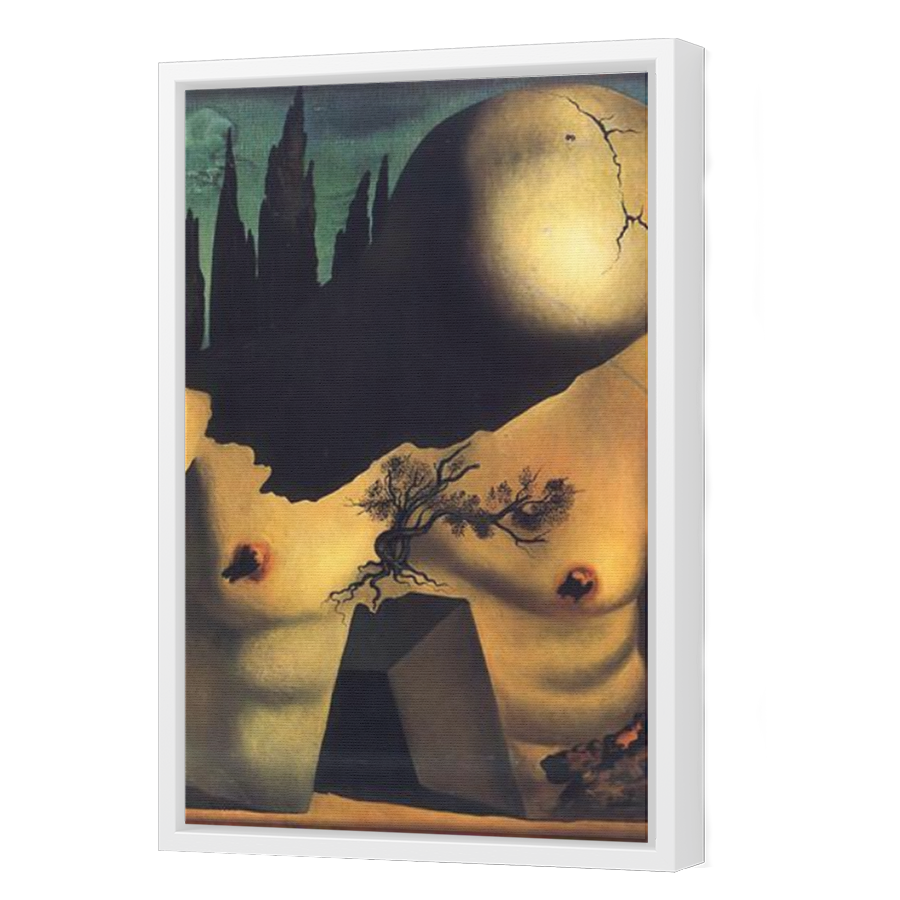 Thumbnail for Canvas - White Floating Frame