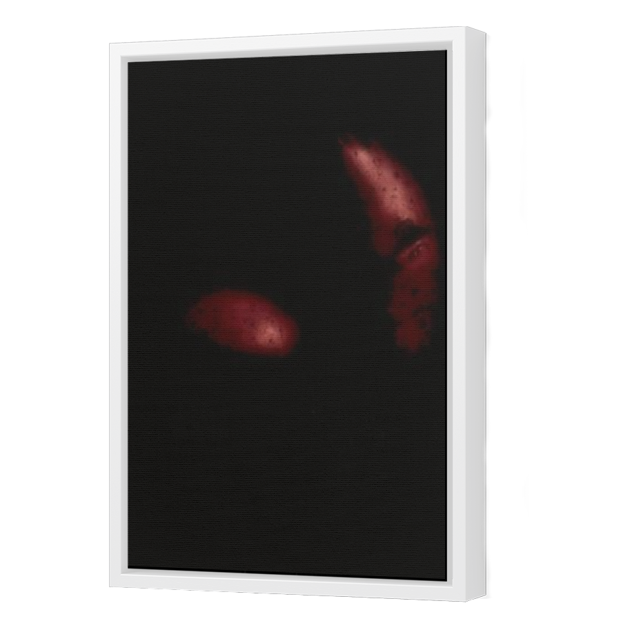 Thumbnail for Canvas - White Floating Frame