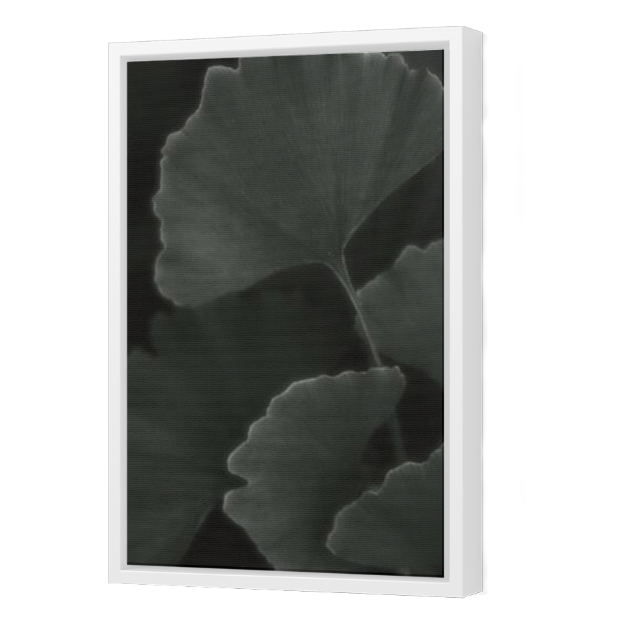 Thumbnail for Canvas - White Floating Frame