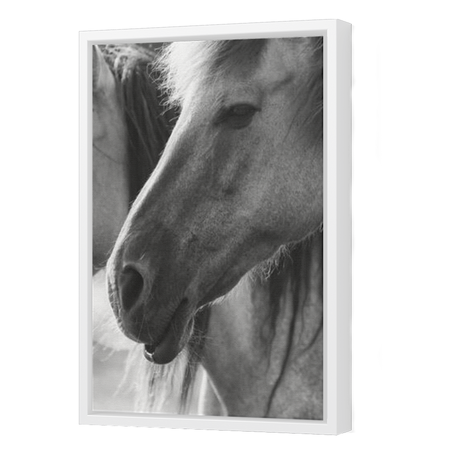 Thumbnail for Canvas - White Floating Frame