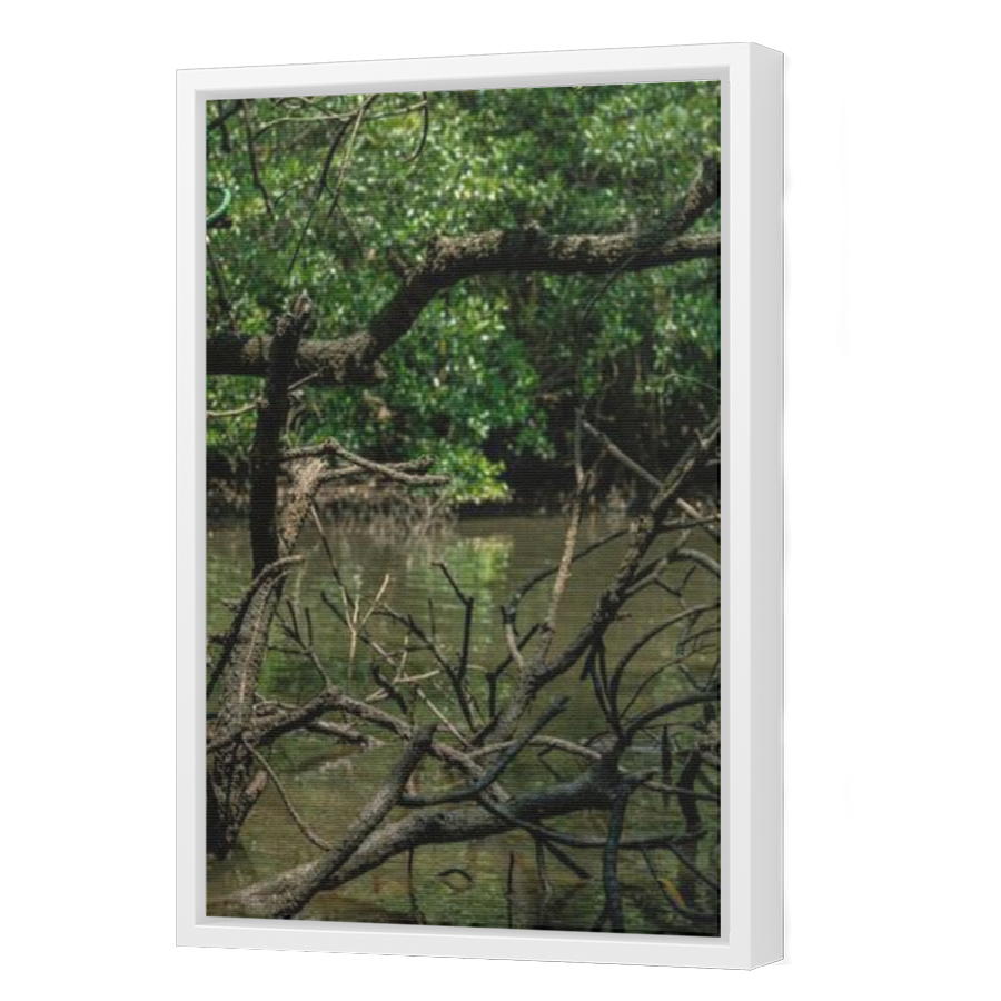 Thumbnail for Canvas - White Floating Frame
