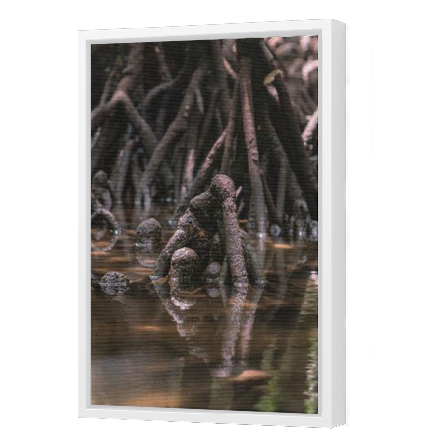 Thumbnail for Canvas - White Floating Frame