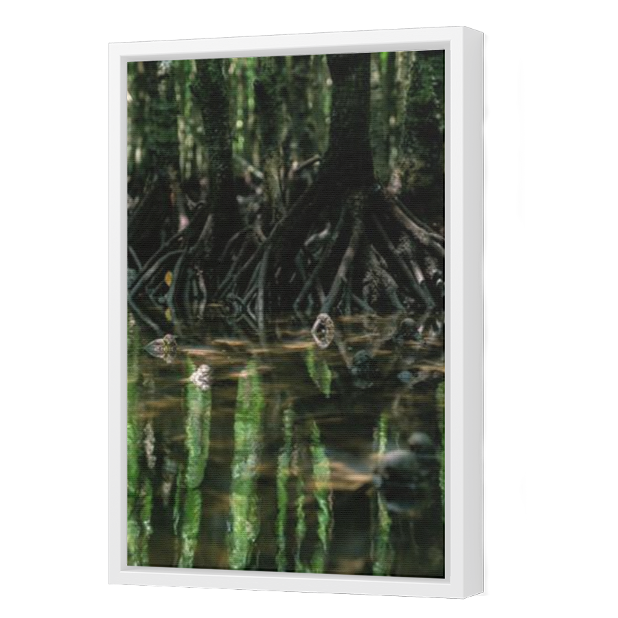 Thumbnail for Canvas - White Floating Frame