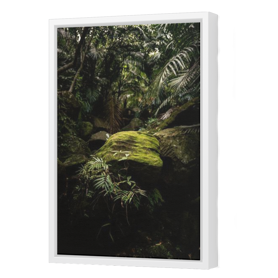 Thumbnail for Canvas - White Floating Frame