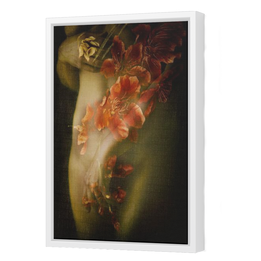 Thumbnail for Canvas - White Floating Frame