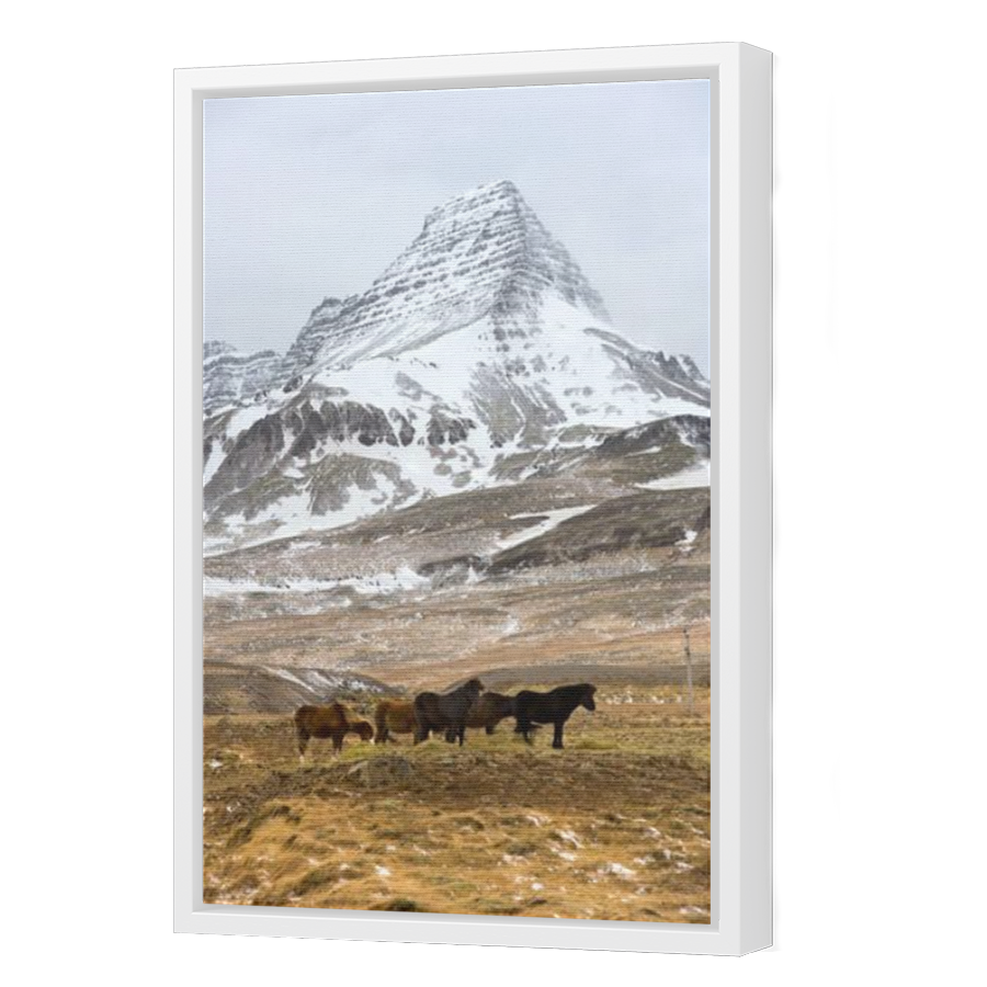 Thumbnail for Canvas - White Floating Frame