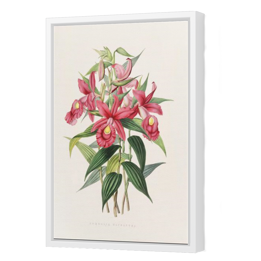 Thumbnail for Canvas - White Floating Frame