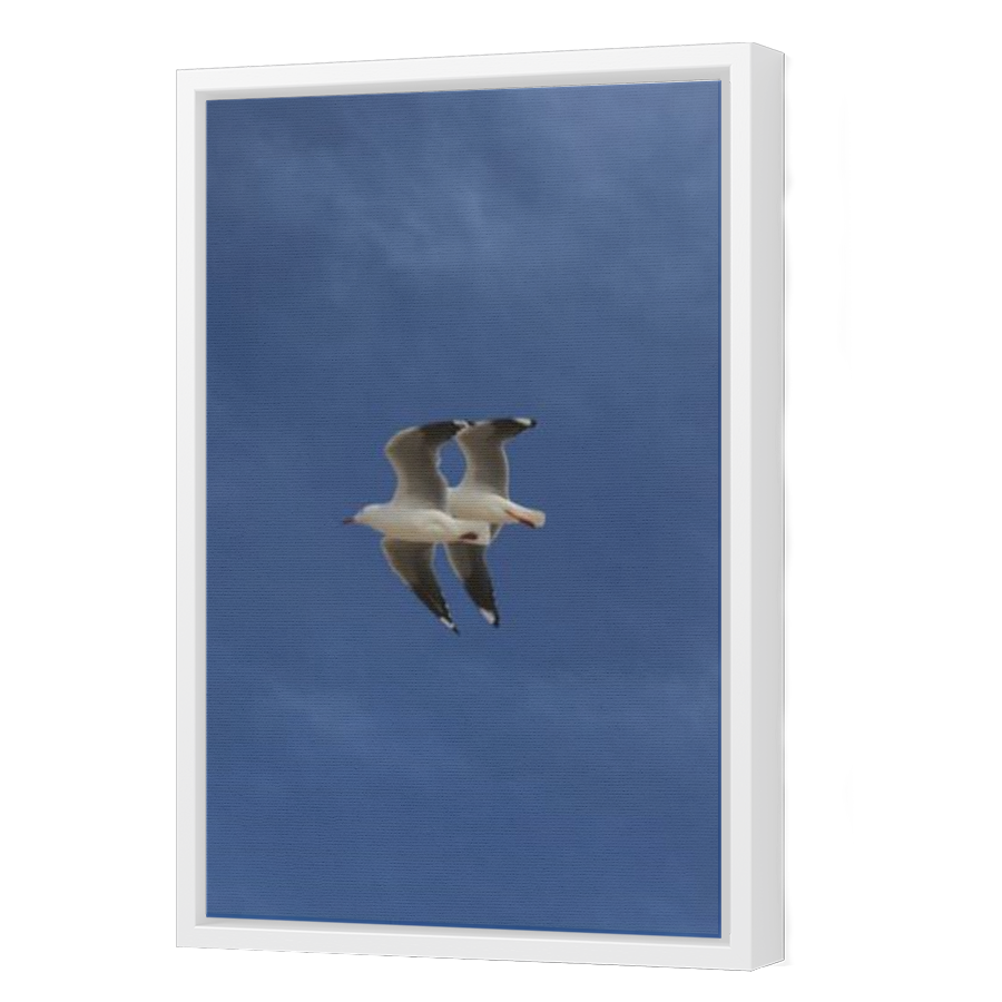Thumbnail for Canvas - White Floating Frame