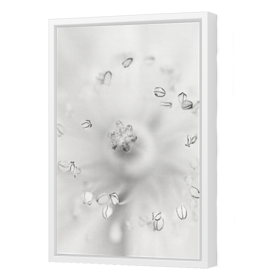 Thumbnail for Canvas - White Floating Frame