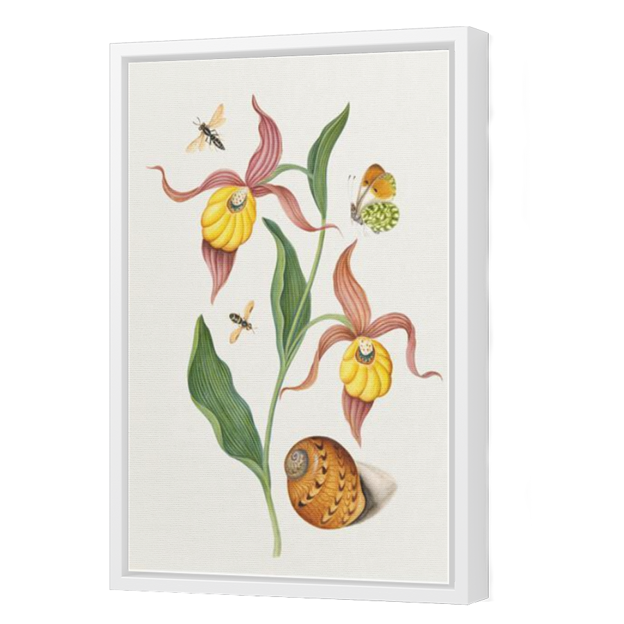 Thumbnail for Canvas - White Floating Frame