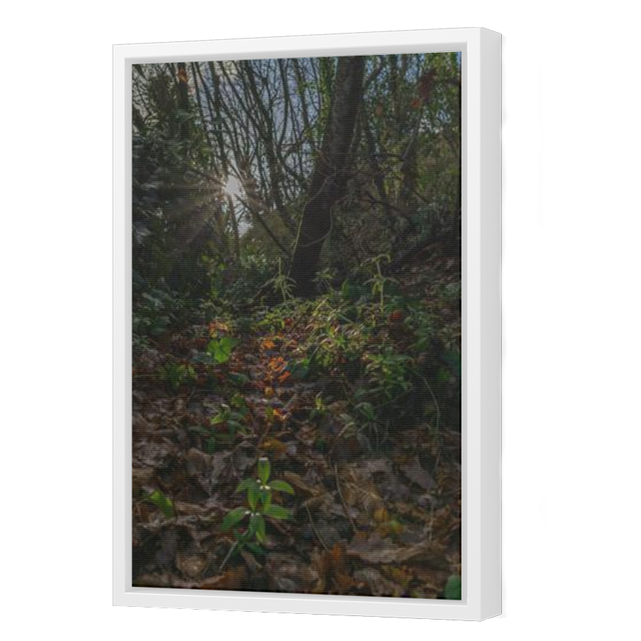 Thumbnail for Canvas - White Floating Frame