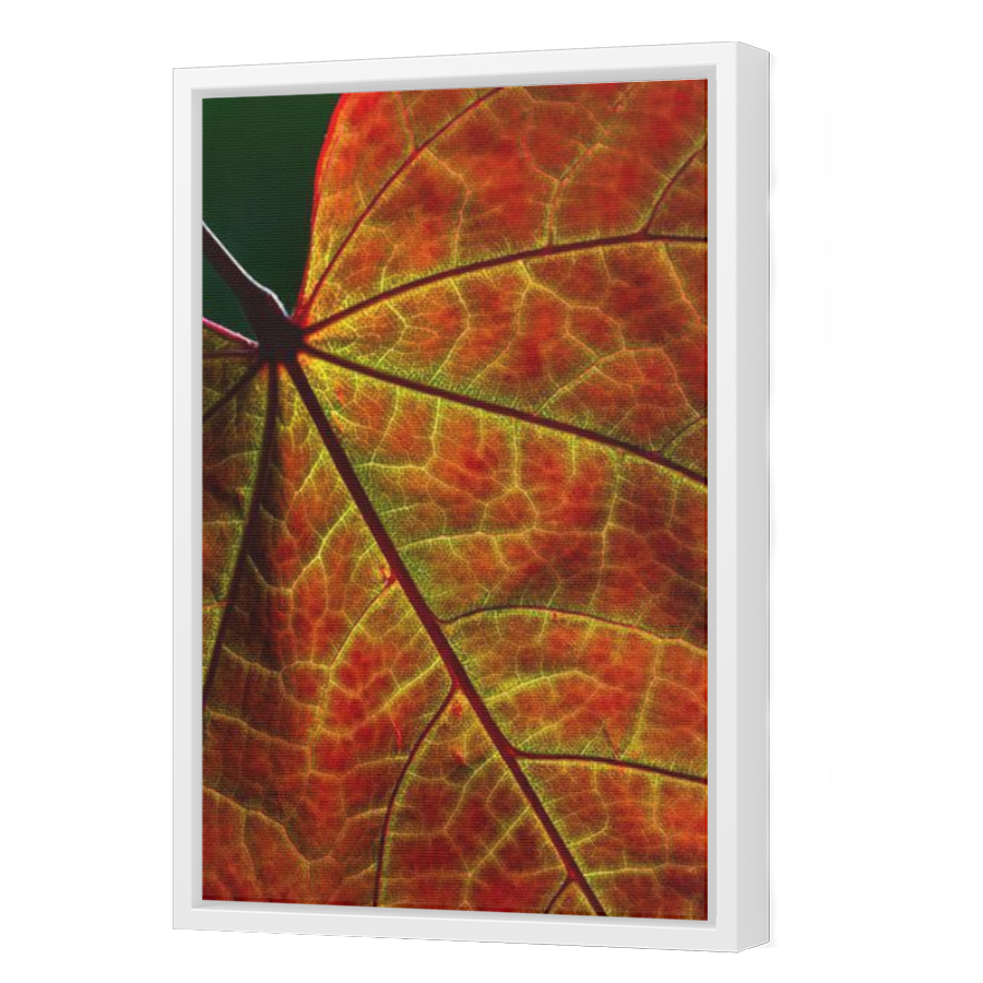 Thumbnail for Canvas - White Floating Frame