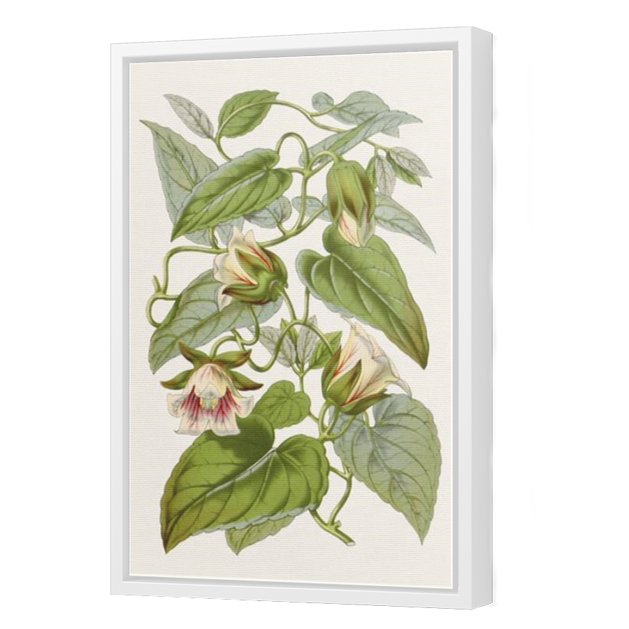 Thumbnail for Canvas - White Floating Frame