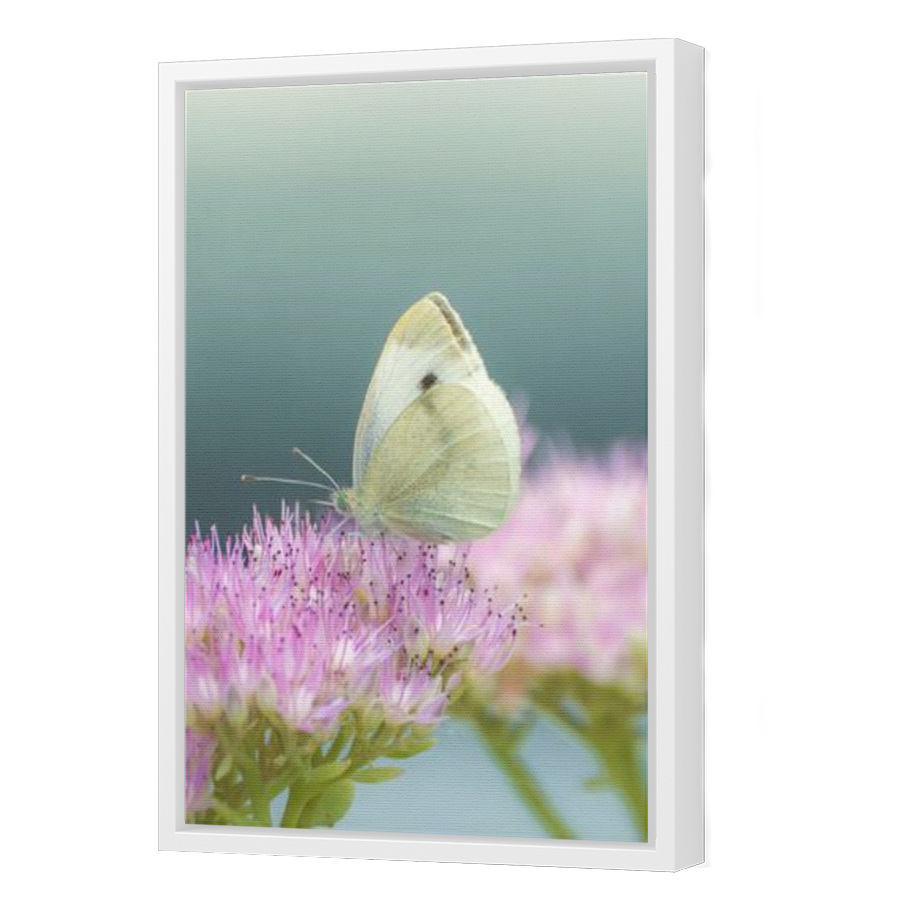 Thumbnail for Canvas - White Floating Frame