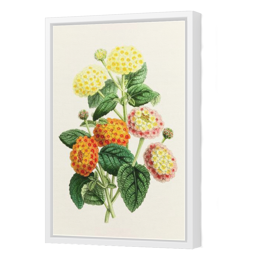 Thumbnail for Canvas - White Floating Frame