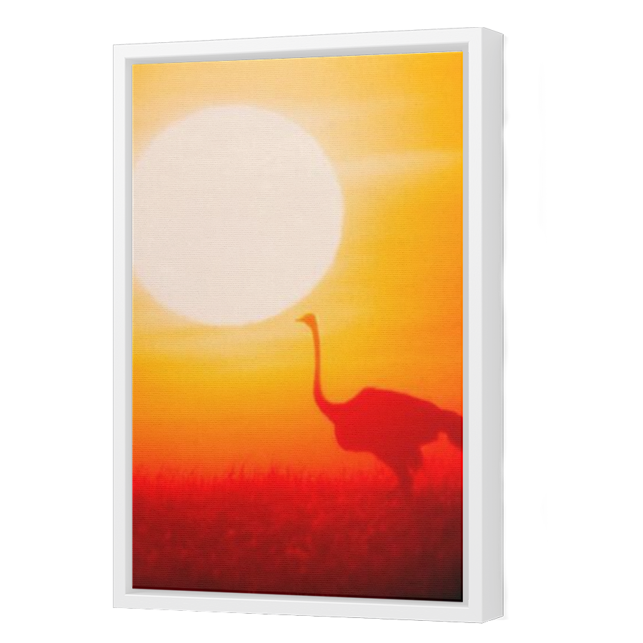 Thumbnail for Canvas - White Floating Frame