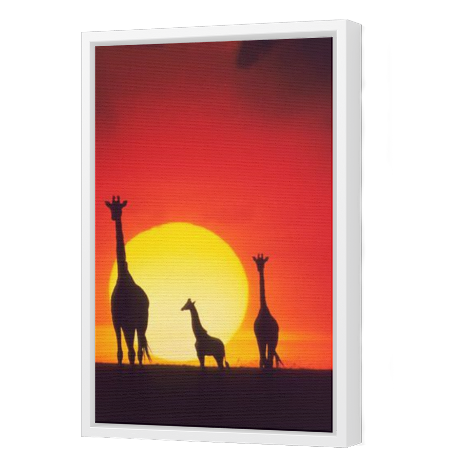 Thumbnail for Canvas - White Floating Frame