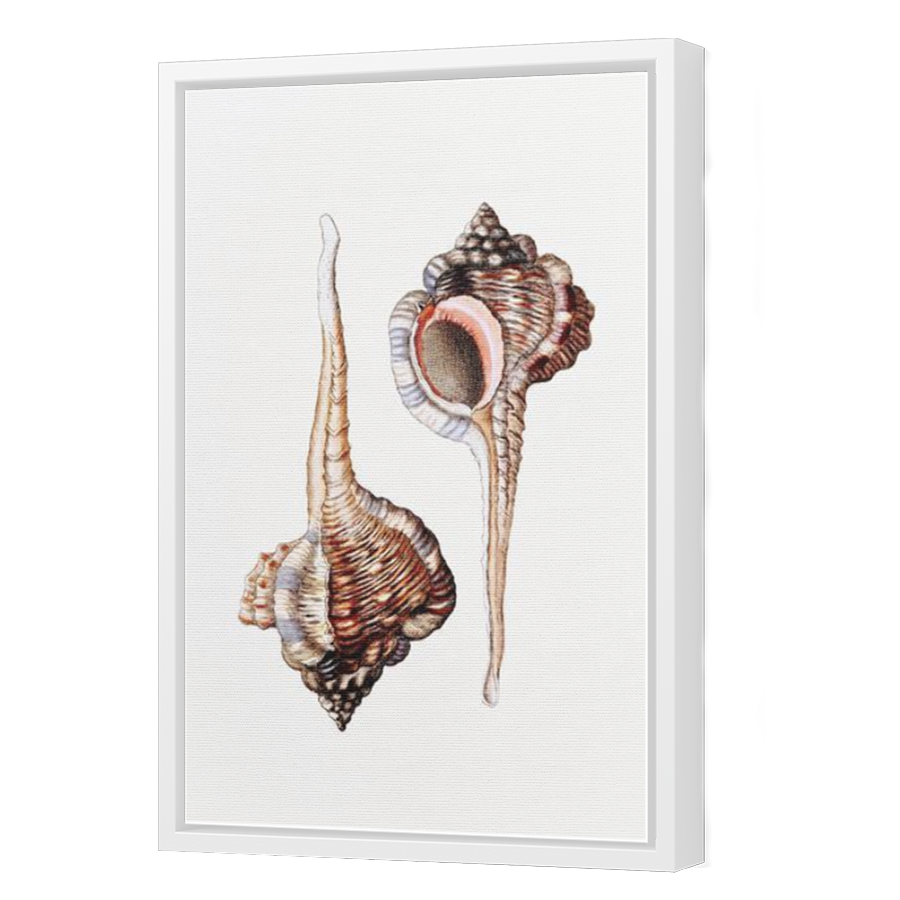 Thumbnail for Canvas - White Floating Frame
