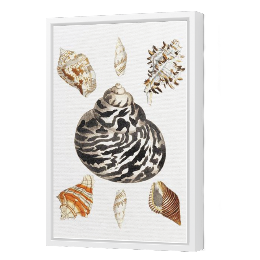 Thumbnail for Canvas - White Floating Frame