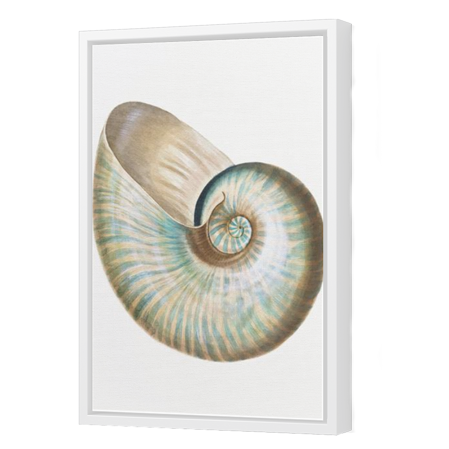 Thumbnail for Canvas - White Floating Frame